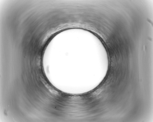 X0000093261499200710241323