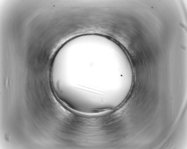 X0000093261500200710241323