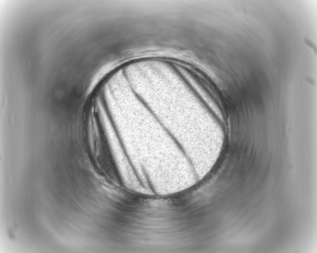 X0000093261501200710241323