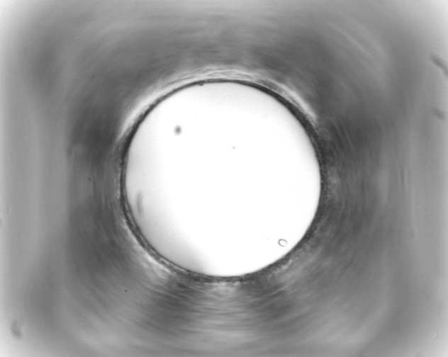 X0000093261504200710241323