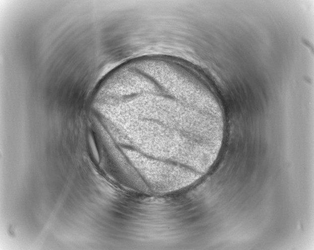 X0000093261505200710241323