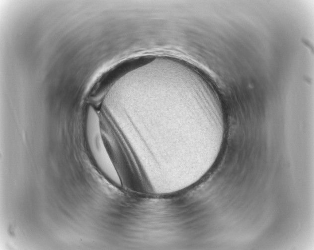 X0000093261506200710241323