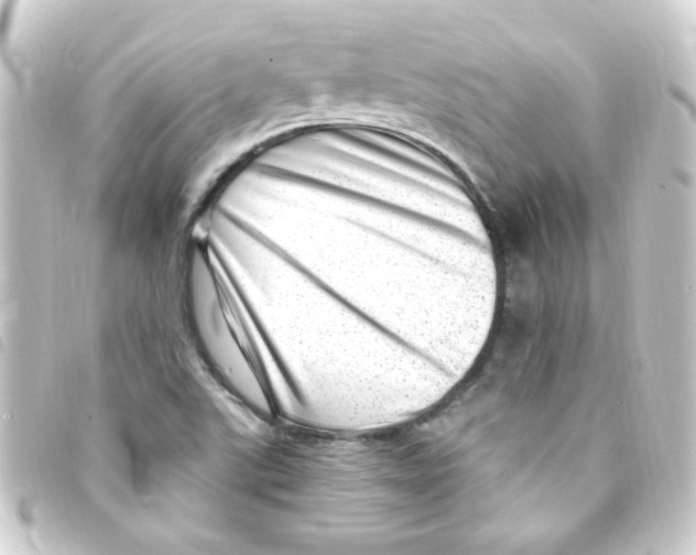 X0000093261507200710241323