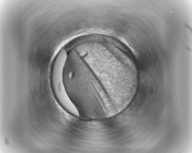 X0000093261508200710241323