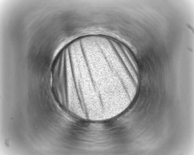 X0000093261509200710241323