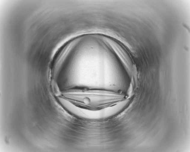 X0000093261510200710241323