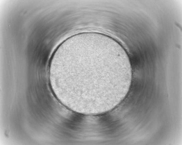 X0000093261514200710241323