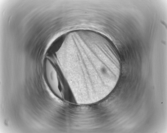 X0000093261515200710241323