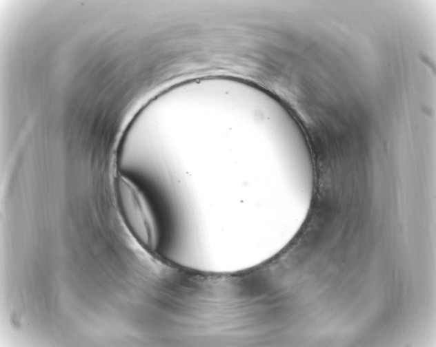 X0000093261516200710241323