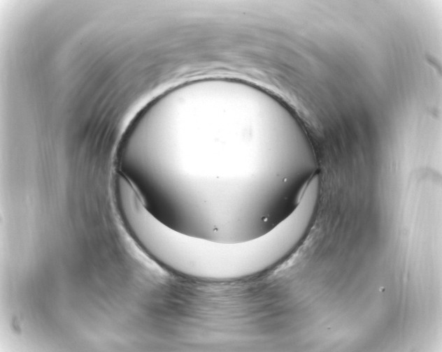 X0000093261518200710241323