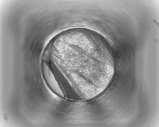 X0000093261519200710241323