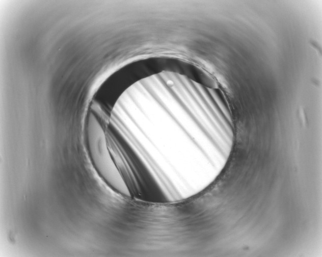 X0000093261520200710241323