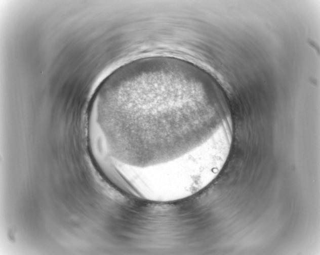 X0000093261522200710241323