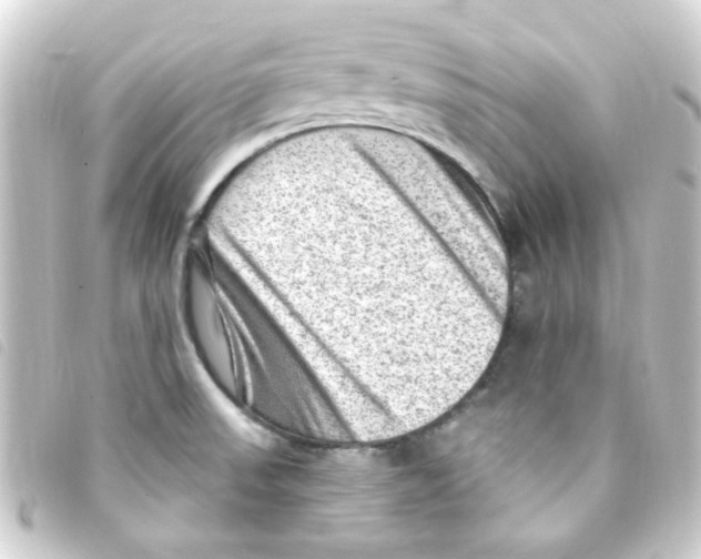 X0000093261523200710241323