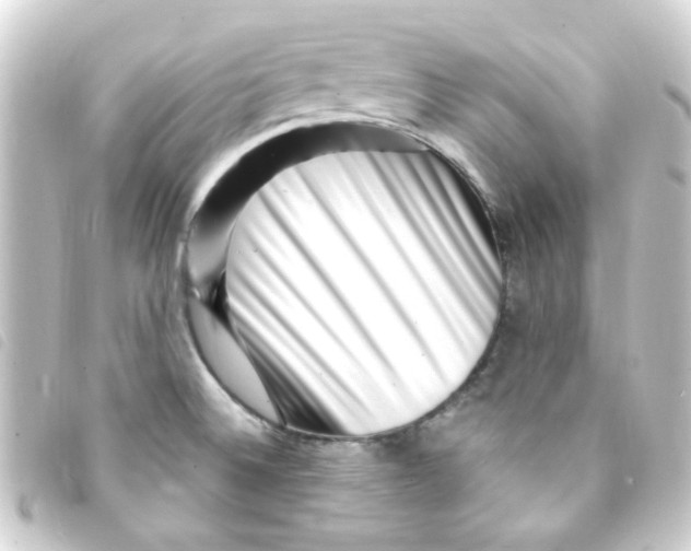 X0000093261524200710241323