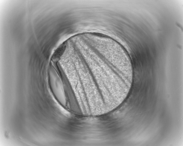 X0000093261525200710241323