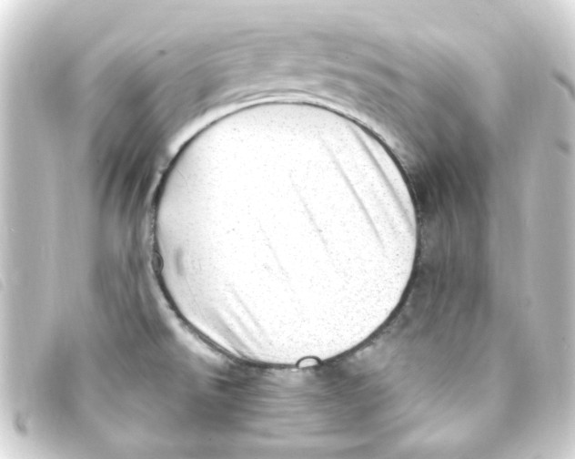 X0000093261526200710241323