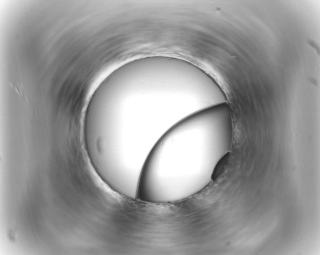 X0000093261528200710241323