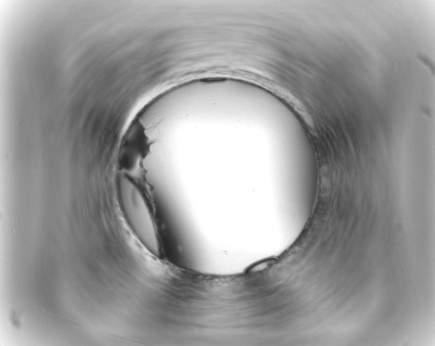 X0000093261530200710241323