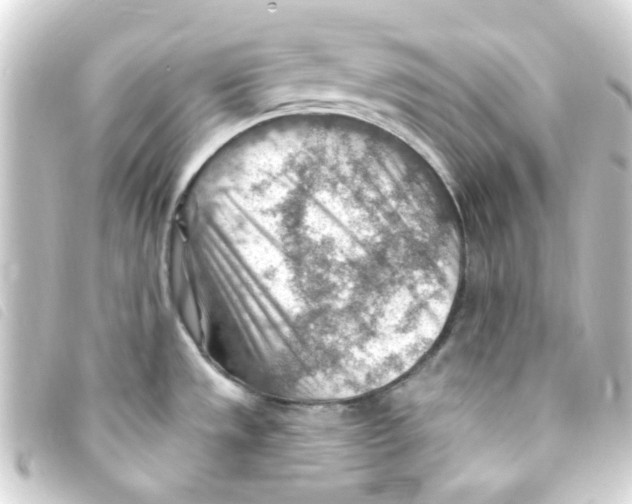 X0000093261533200710241323