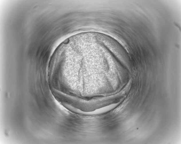 X0000093261535200710241323