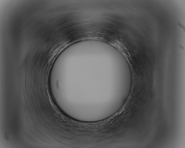 X0000093360001200710111317