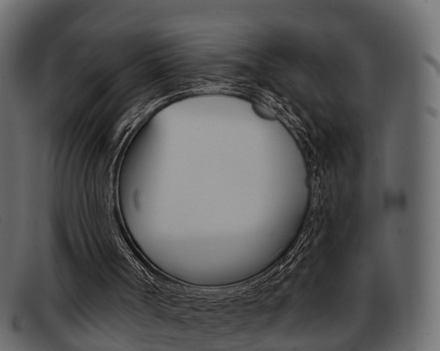 X0000093360002200710111317