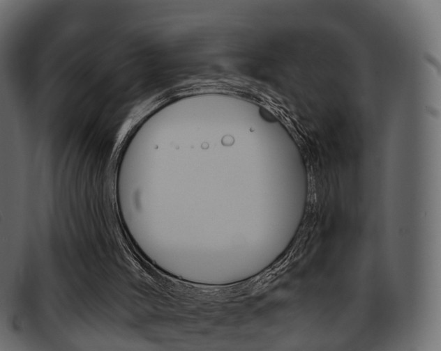 X0000093360004200710111317