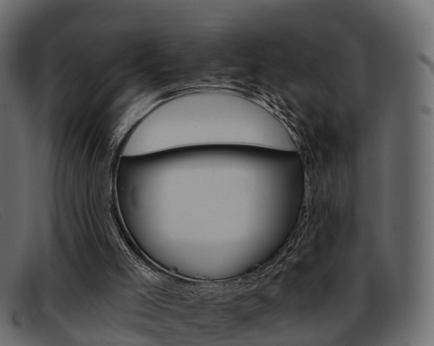 X0000093360005200710111317