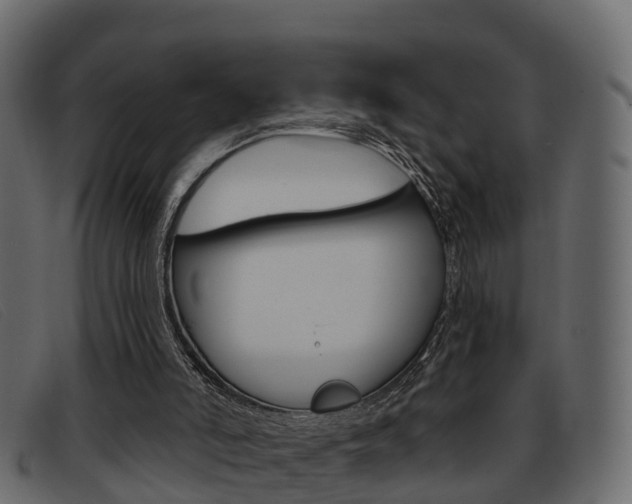 X0000093360006200710111317