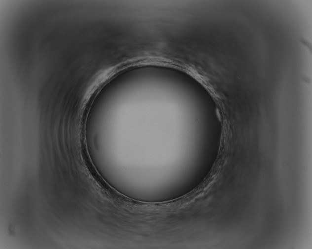 X0000093360007200710111317