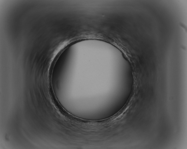 X0000093360008200710111317