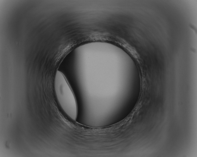 X0000093360009200710111317