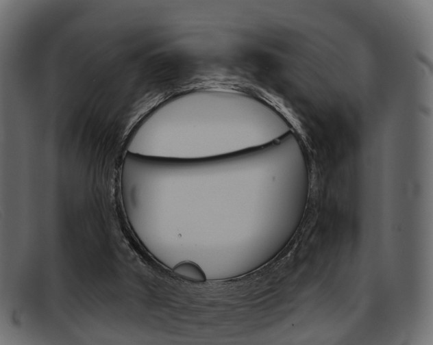 X0000093360010200710111317
