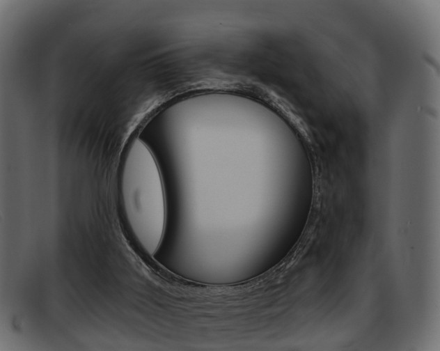 X0000093360011200710111317