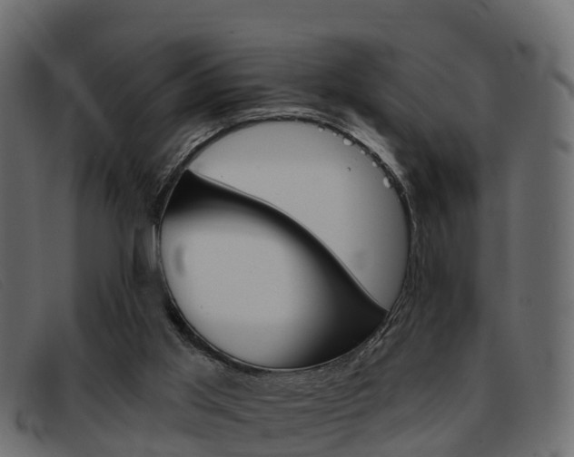 X0000093360013200710111317