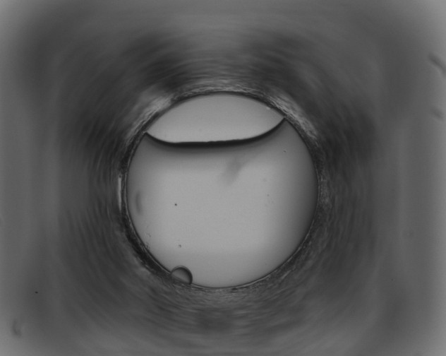 X0000093360014200710111317