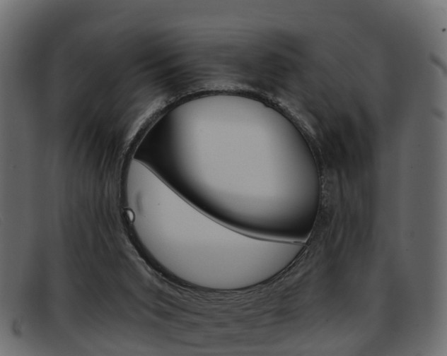 X0000093360015200710111317