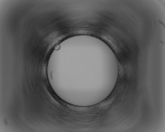 X0000093360016200710111317