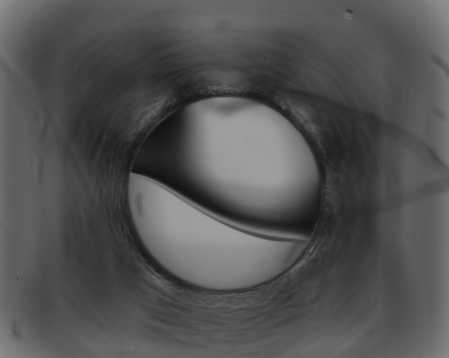 X0000093360017200710111317