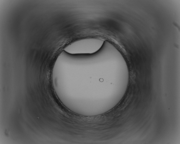 X0000093360018200710111317