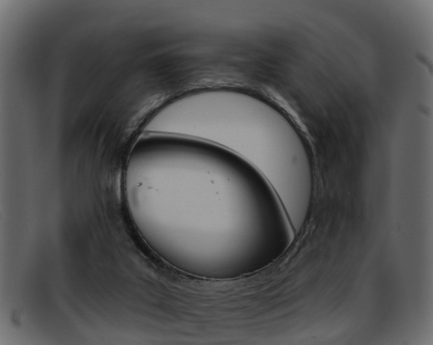 X0000093360019200710111317