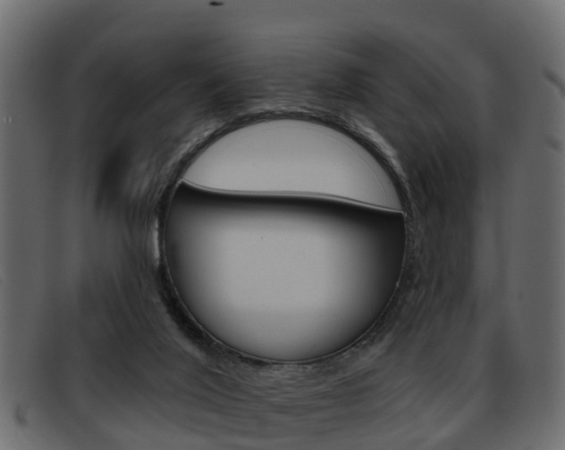 X0000093360020200710111317