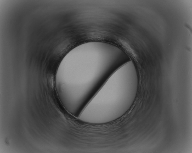 X0000093360021200710111317