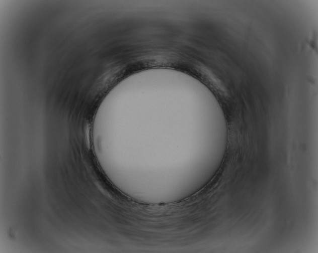X0000093360022200710111317