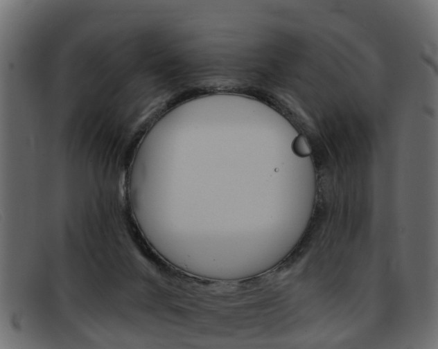 X0000093360024200710111317