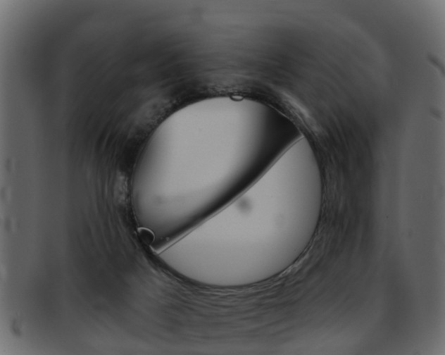 X0000093360025200710111317
