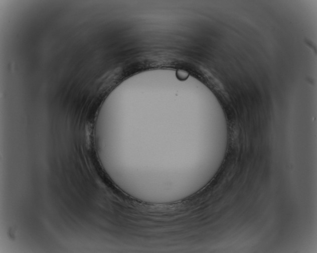 X0000093360026200710111316