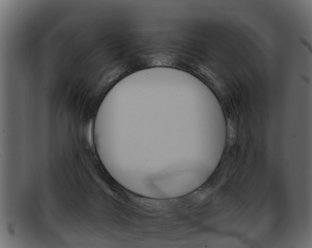 X0000093360028200710111316