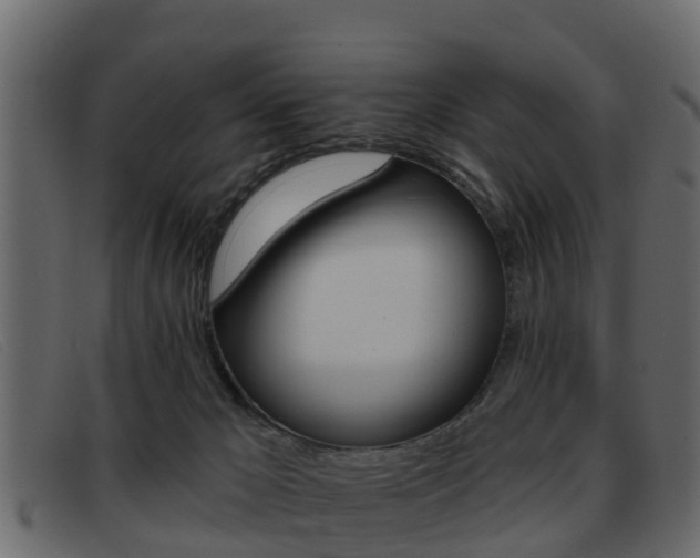 X0000093360029200710111316